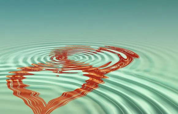 로쿠벳 카지노 지원